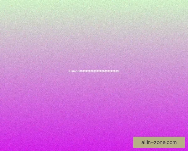 以Timor为核心的全新出装思路解析助你轻松掌控战局提升游戏表现